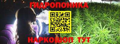 спайс Кинель