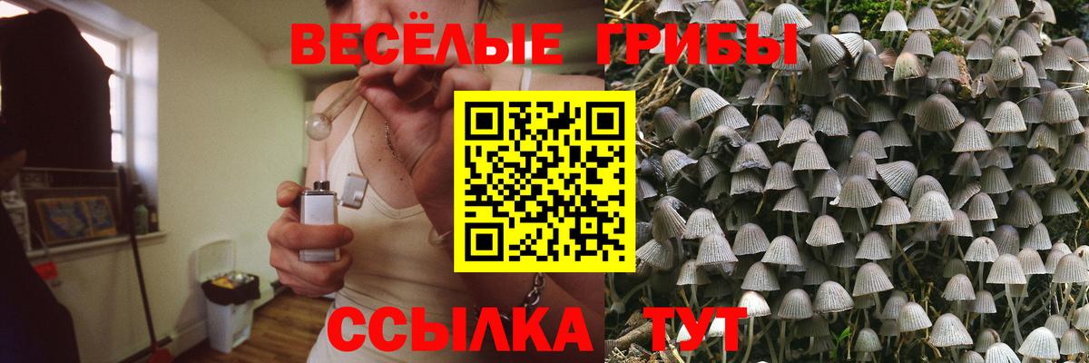 Канаш  Галлюциногенные грибы мицелий  Псилоцибиновые грибы мицелий  даркнет сайт  Вход с VPN 