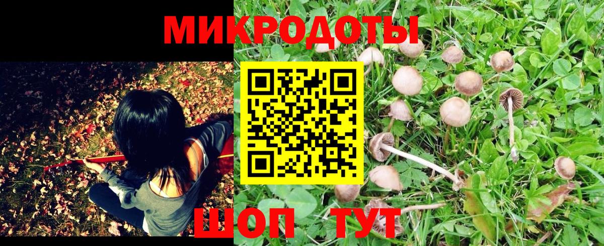 Галлюциногенные грибы MAGIC MUSHROOMS Канаш