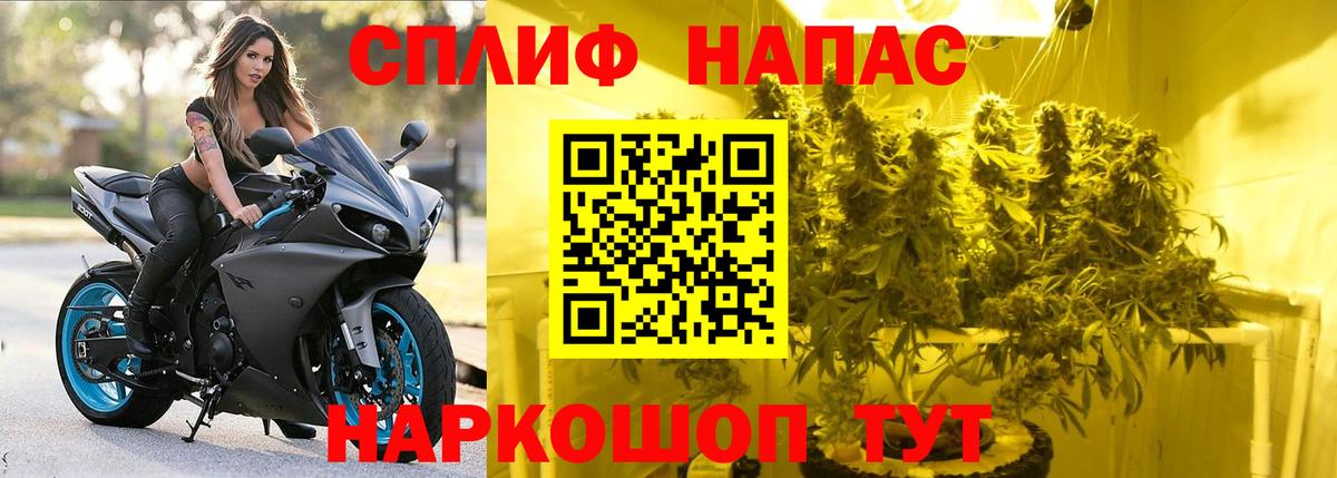 Канабис Bruce Banner  Вход с VPN  Конопля ГИДРОПОН  Канаш  Каннабис OG Kush 
